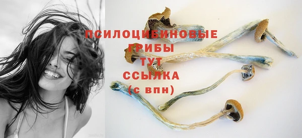 прущие крисы Майский