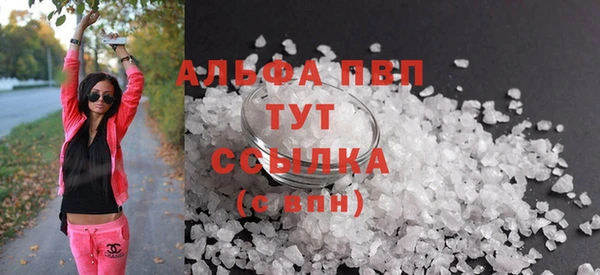 СК Магас