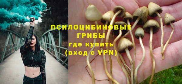 шишки Липки